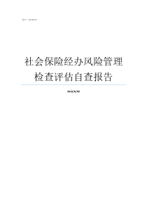 社会保险经办风险管理检查评估自查报告社会保险网上经办