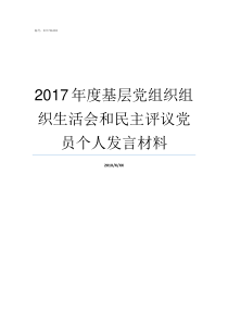 2017年度基层党组织组织生活会和民主评议党员个人发言材料党组