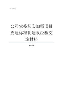 公司党委切实加强项目党建标准化建设经验交流材料