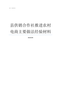 县供销合作社推进农村电商主要做法经验材料