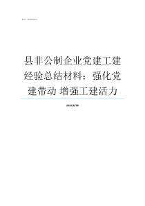 县非公制企业党建工建经验总结材料强化党建带动nbsp增强工建活力非公党建怎么做