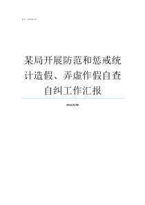 某局开展防范和惩戒统计造假弄虚作假自查自纠工作汇报开展防范打击