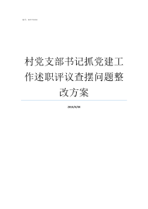 村党支部书记抓党建工作述职评议查摆问题整改方案村党支部书记抓基层党建