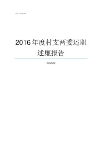 2016年度村支两委述职述廉报告村两委分工