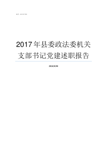 2017年县委政法委机关支部书记党建述职报告