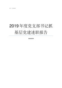 2019年度党支部书记抓基层党建述职报告2019年党支部会议记录