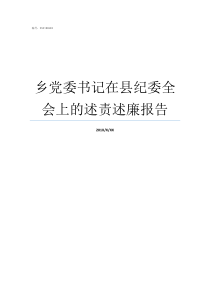 乡党委书记在县纪委全会上的述责述廉报告乡党委书记和乡长