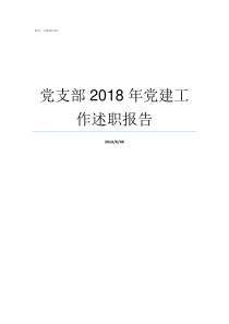 党支部2018年党建工作述职报告2019年党支部工作要点