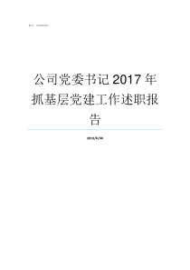 公司党委书记2017年抓基层党建工作述职报告