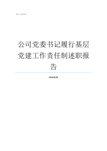 公司党委书记履行基层党建工作责任制述职报告党委书记要切实履行