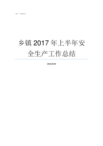 乡镇2017年上半年安全生产工作总结乡镇长2017年个人总结