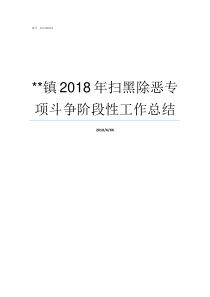 镇2018年扫黑除恶专项斗争阶段性工作总结2019年扫黑