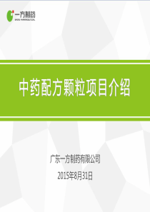 中药配方颗粒项目介绍(11月版学术课件)