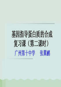 基因指导蛋白质的合成复习课PPT课件全解-人教课标版