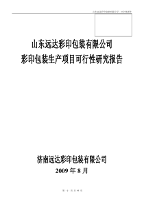 山东远达彩印包装有限公司彩印包装生产项目可行性研究报告