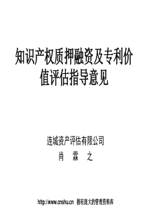 知识产权质押融资及专利价值评估指导（PPT80页）