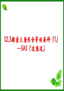 13.2.2全等三角形的判定方法：边角边判定定理[1]