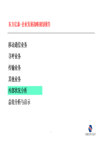 东方亿泰企业发展战略规划项目咨询报告(PDF 100页)