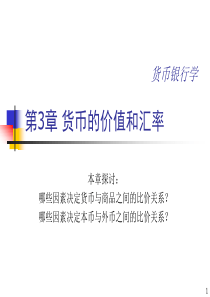 第03章货币的价值和汇率