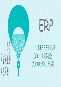 ERP成功案例