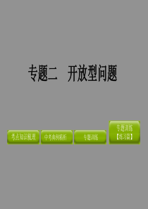 2012版中考数学精品课件(含11真题和12预测题)专题二 开放型问题