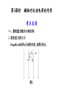 2011年步步高大一轮复习讲义 第八章 磁 场 第3课时 磁场对运动电荷的作用