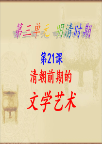 七年级历史下第21课清朝前期的文学艺术