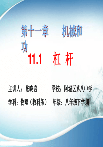 11.1《杠杆》ppt课件