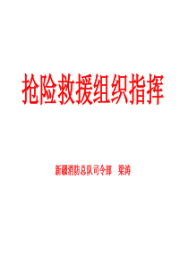 大学生授课---抢险救援组织指挥