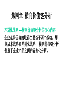 第六章横向价值链分析