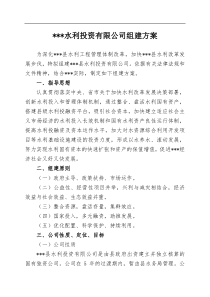 水利投资公司组建方案