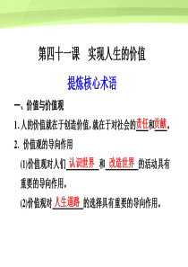 第十六单元 认识社会与价值选择第41课课件 新人教版必修4