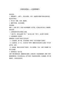 小班科学比较两种萝卜