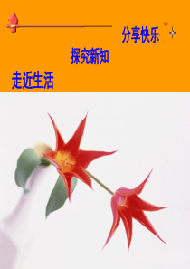 数学：3.1《一元二次方程》课件(青岛版九年级上)