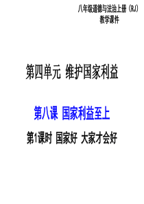 第四单元维护国家利益