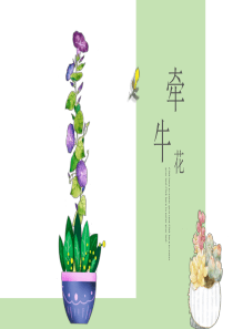 少儿美术绘画课程-牵牛花2