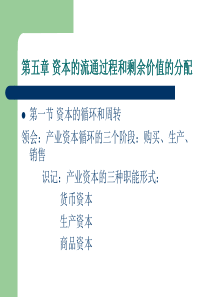 资本的流通过程和剩余价值的分配