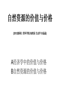 资源分析与评价---自然资源的价值与价格