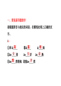 高考语文一轮复习课件：识记现代汉字的字形 第三讲错别字