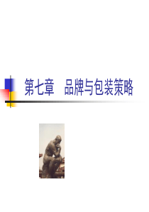 第十一章 品牌与包装策略