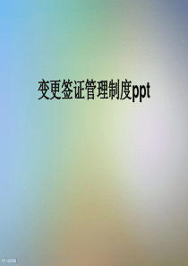 变更签证管理制度ppt