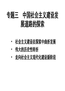 高中历史人民版必修二一轮复习提纲——专题三