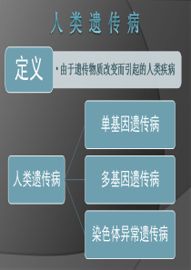 高中生物课件——人类遗传病