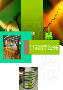 13连锁经营行业分布（PPT63页)