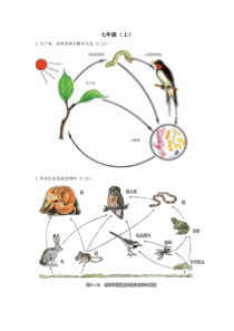 初中生物课本上的图