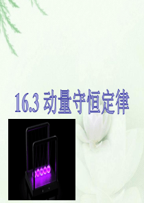 用16.3动量守恒定律精品-(共26张PPT)