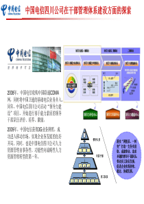 AAA电信省公司领导力建设综述