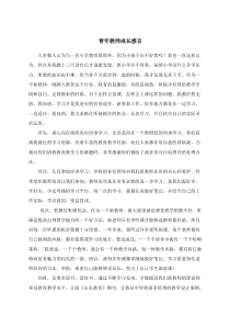 青年教师成长感言