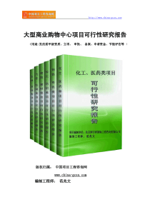 大型商业购物中心项目可行性研究报告(专业经典案例)