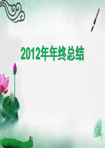 2013医药代表工作总结(新)